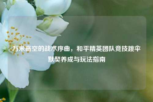 万米高空的战术序曲,和平精英团队竞技跳伞默契养成与玩法指南