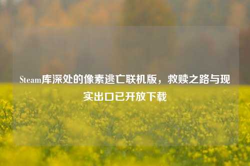 Steam库深处的像素逃亡联机版，救赎之路与现实出口已开放下载