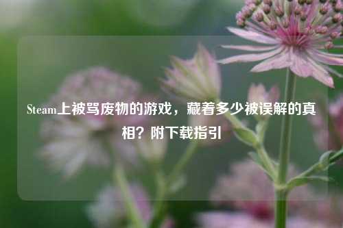 Steam上被骂废物的游戏,藏着多少被误解的真相?附下载指引