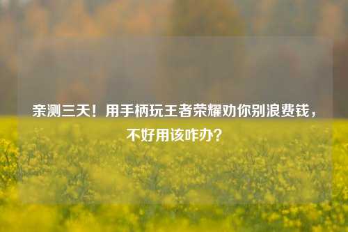 亲测三天!用手柄玩王者荣耀劝你别浪费钱,不好用该咋办?