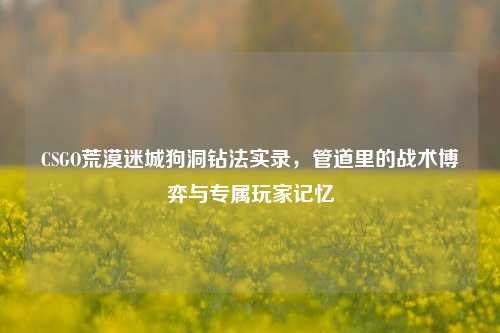 CSGO荒漠迷城狗洞钻法实录，管道里的战术博弈与专属玩家记忆