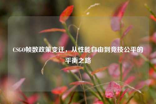 CSGO帧数政策变迁,从性能自由到竞技公平的平衡之路