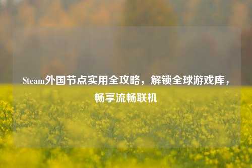 Steam外国节点实用全攻略，解锁全球游戏库，畅享流畅联机