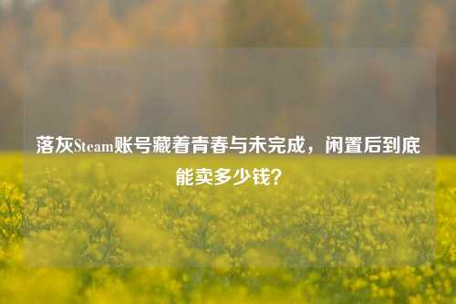 落灰Steam账号藏着青春与未完成,闲置后到底能卖多少钱?