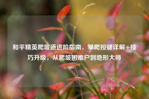 和平精英爬坡道进阶指南,攀爬按键详解+技巧升级,从爬坡困难户到地形大师