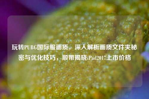 玩转PUBG国际服画质,深入解析画质文件夹秘密与优化技巧,顺带揭晓iPad2017上市价格