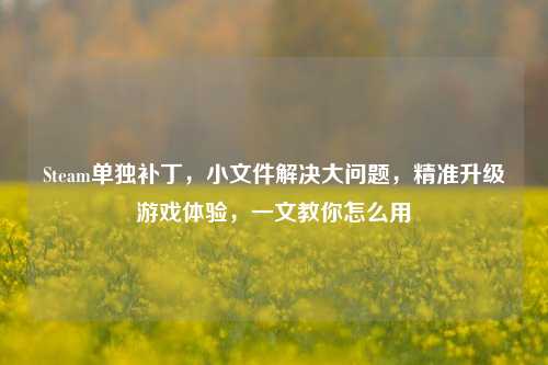 Steam单独补丁，小文件解决大问题，精准升级游戏体验，一文教你怎么用