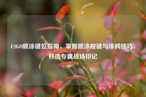 CSGO喷涂键位指南,掌握喷涂按键与涂鸦技巧,打造专属战场印记
