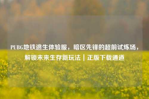 PUBG地铁逃生体验服,暗区先锋的超前试炼场,解锁未来生存新玩法|正版下载通道