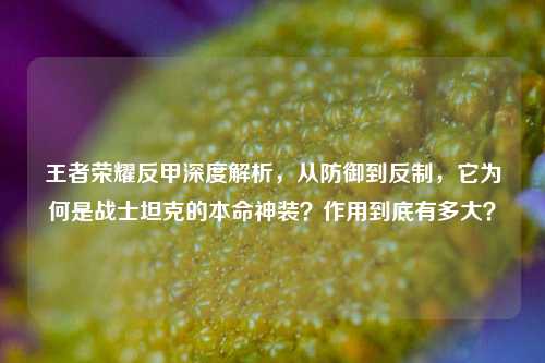 王者荣耀反甲深度解析，从防御到反制，它为何是战士坦克的本命神装？作用到底有多大？