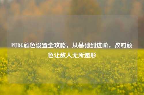 PUBG颜色设置全攻略，从基础到进阶，改对颜色让敌人无所遁形