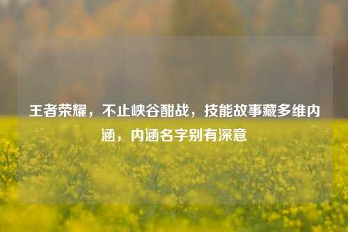 王者荣耀,不止峡谷酣战,技能故事藏多维内涵,内涵名字别有深意