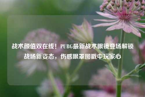 战术颜值双在线!PUBG最新战术眼镜登场解锁战场新姿态,伤感眼罩图戳中玩家心