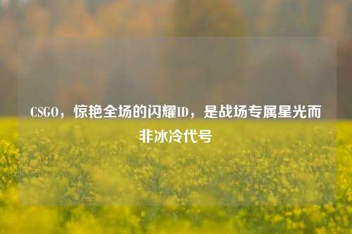 CSGO,惊艳全场的闪耀ID,是战场专属星光而非冰冷代号
