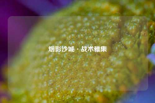 烟影沙城·战术雅集