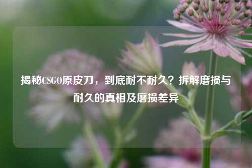揭秘CSGO原皮刀,到底耐不耐久?拆解磨损与耐久的真相及磨损差异