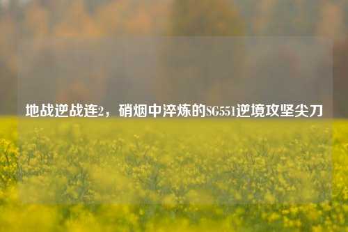 地战逆战连2,硝烟中淬炼的SG551逆境攻坚尖刀