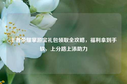 王者荣耀掌游宝礼包领取全攻略，福利拿到手软，上分路上添助力
