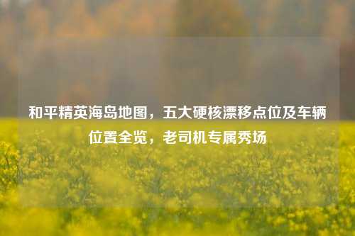 和平精英海岛地图，五大硬核漂移点位及车辆位置全览，老司机专属秀场