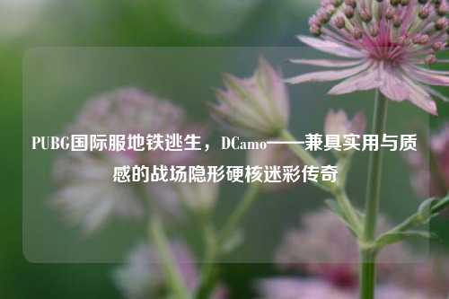 PUBG国际服地铁逃生，DCamo——兼具实用与质感的战场隐形硬核迷彩传奇