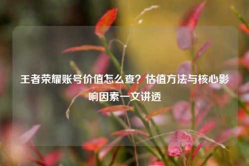 王者荣耀账号价值怎么查？估值方法与核心影响因素一文讲透