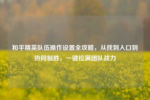 和平精英队伍操作设置全攻略,从找到入口到协同制胜,一键拉满团队战力