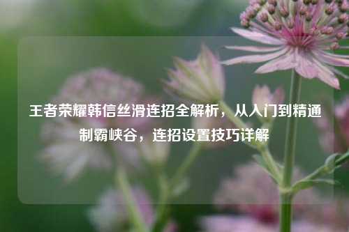 王者荣耀韩信丝滑连招全解析，从入门到精通制霸峡谷，连招设置技巧详解
