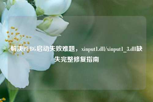解决PUBG启动失败难题，xinput1.dll/xinput1_3.dll缺失完整修复指南