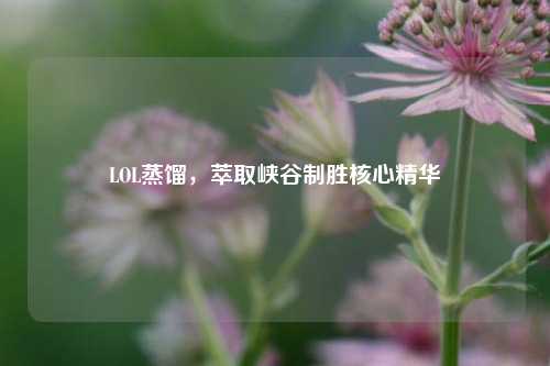 LOL蒸馏,萃取峡谷制胜核心精华