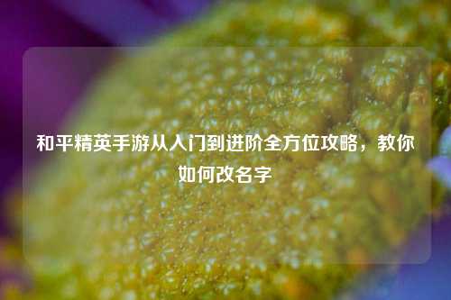 和平精英手游从入门到进阶全方位攻略，教你如何改名字