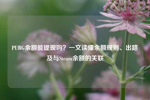 PUBG余额能提现吗？一文读懂余额规则、出路及与Steam余额的关联