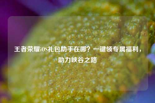 王者荣耀iOS礼包助手在哪？一键领专属福利，助力峡谷之路