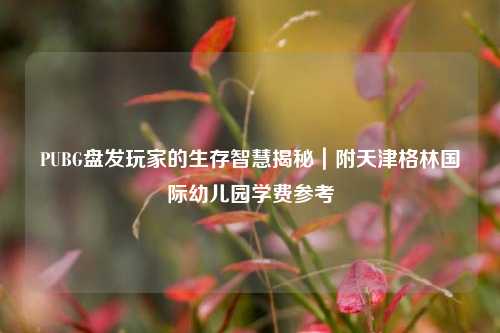 PUBG盘发玩家的生存智慧揭秘|附天津格林国际幼儿园学费参考