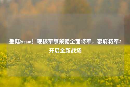 登陆Steam！硬核军事策略全面将军，幕府将军2开启全新战场