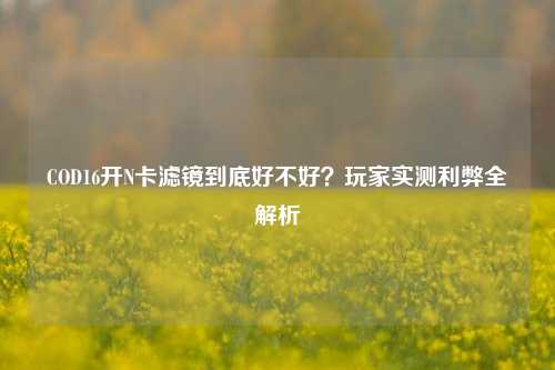 COD16开N卡滤镜到底好不好？玩家实测利弊全解析