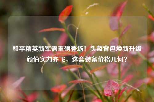 和平精英新军需重磅登场！头盔背包焕新升级颜值实力齐飞，这套装备价格几何？