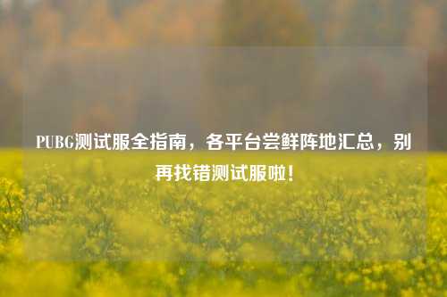 PUBG测试服全指南,各平台尝鲜阵地汇总,别再找错测试服啦!