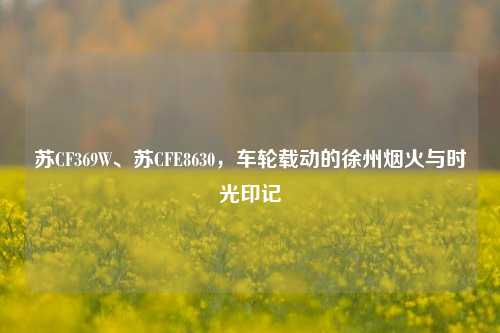 苏CF369W、苏CFE8630,车轮载动的徐州烟火与时光印记