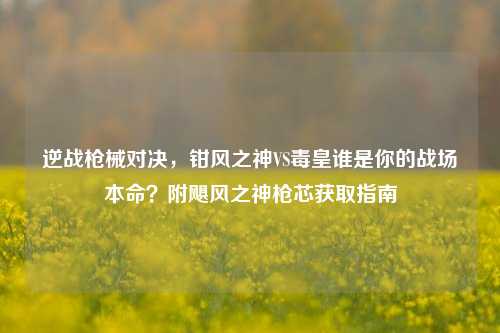 逆战枪械对决，钳风之神VS毒皇谁是你的战场本命？附飓风之神枪芯获取指南
