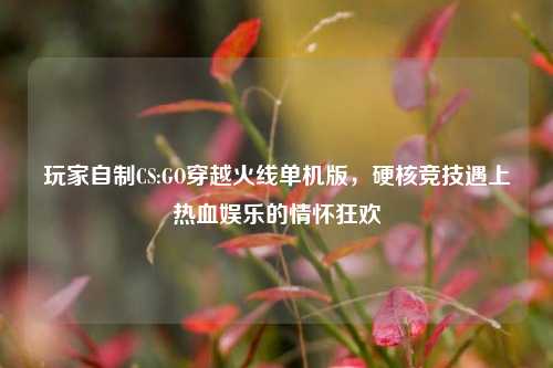玩家自制CS:GO穿越火线单机版，硬核竞技遇上热血娱乐的情怀狂欢