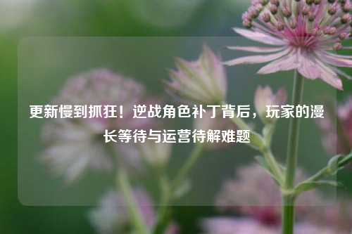更新慢到抓狂!逆战角色补丁背后,玩家的漫长等待与运营待解难题