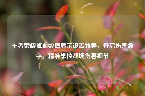 王者荣耀掉血数值显示设置教程,开启伤害数字,精准掌控战场伤害细节