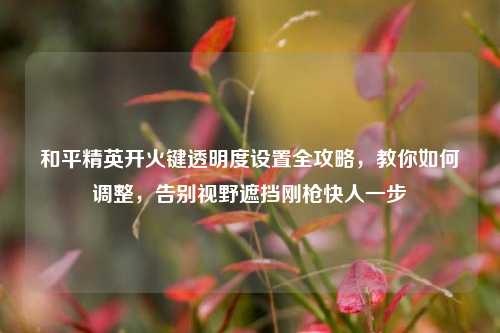 和平精英开火键透明度设置全攻略，教你如何调整，告别视野遮挡刚枪快人一步