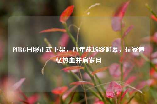 PUBG日服正式下架,八年战场终谢幕,玩家追忆热血并肩岁月