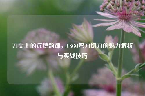 刀尖上的沉稳韵律,CSGO弯刀切刀的魅力解析与实战技巧