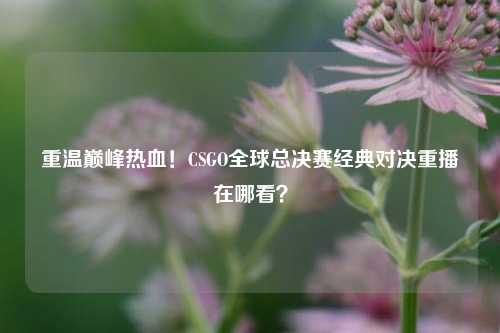 重温巅峰热血！CSGO全球总决赛经典对决重播在哪看？