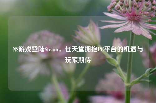 NS游戏登陆Steam,任天堂拥抱PC平台的机遇与玩家期待