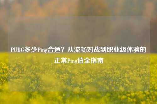 PUBG多少Ping合适?从流畅对战到职业级体验的正常Ping值全指南