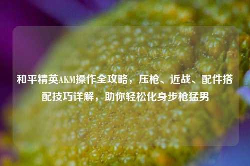 和平精英AKM操作全攻略,压枪、近战、配件搭配技巧详解,助你轻松化身步枪猛男