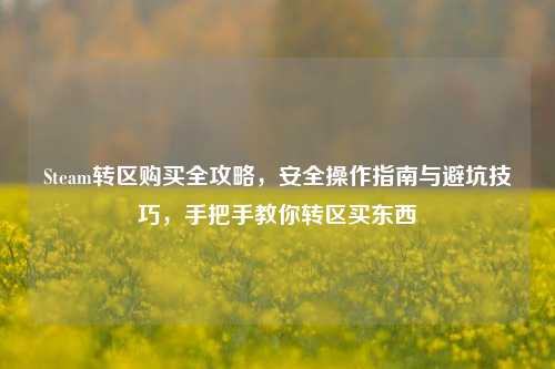 Steam转区购买全攻略，安全操作指南与避坑技巧，手把手教你转区买东西